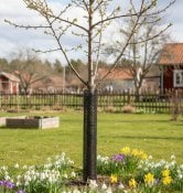 jyrsijäsuojaverkko, 50cm