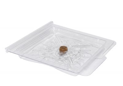 Stick sokeritoukka-ansa 2 kpl