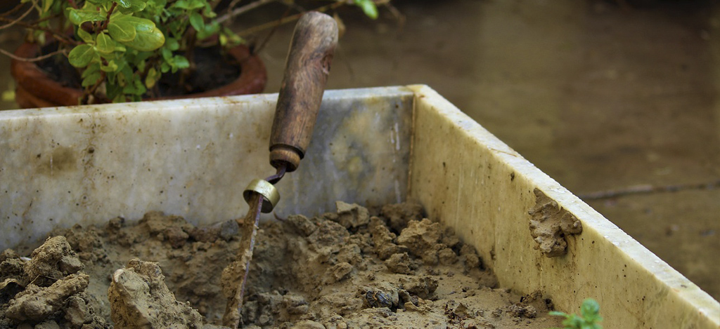 Espanjansiruetanan munien viljely