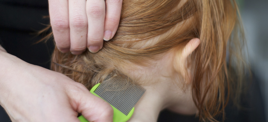 Päätäit täikampa hiukset