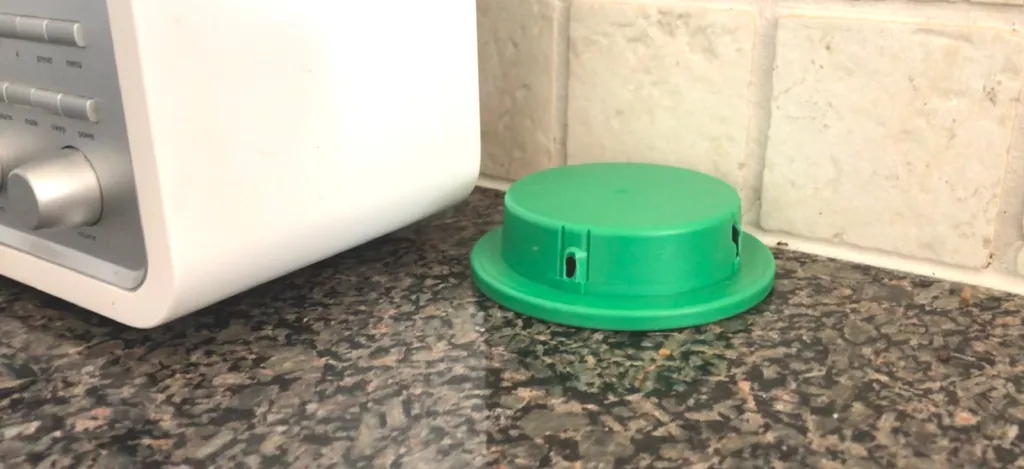 Muurahaisrasia keittiössä