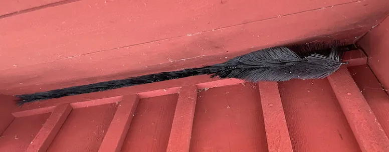 Hiiriharja asennettuna räystään tuuletusrakoon